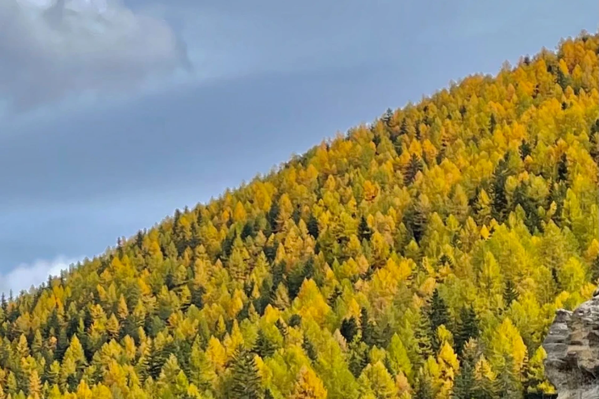 Foto - Indian Summer in Engiadina_1920